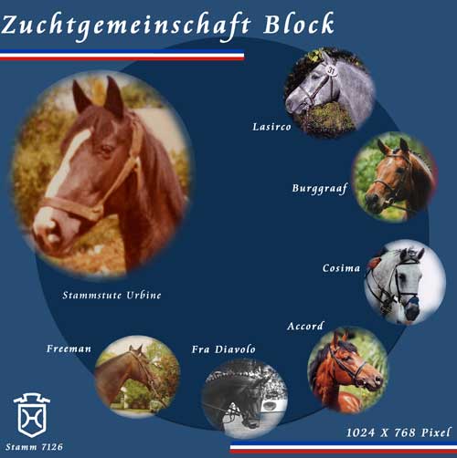 Zuchtgemeinschaft Block / Breeders Community Block